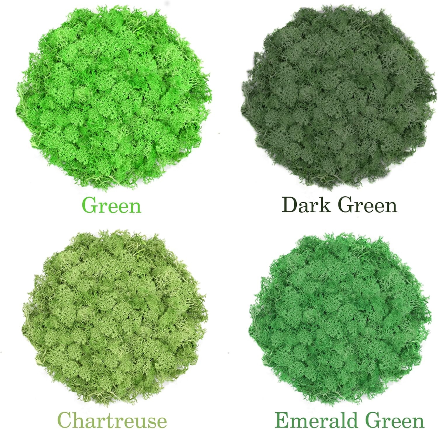 Preserved Reindeer Moss 14 OZ 4 Colors for DIY Gift, Potted Plants,Craft Decor,Wall Art,Festive Home Decorative Christmas(Green, Dark Green, Chartreuse and Emerald Green, Each Color 3.5 OZ)