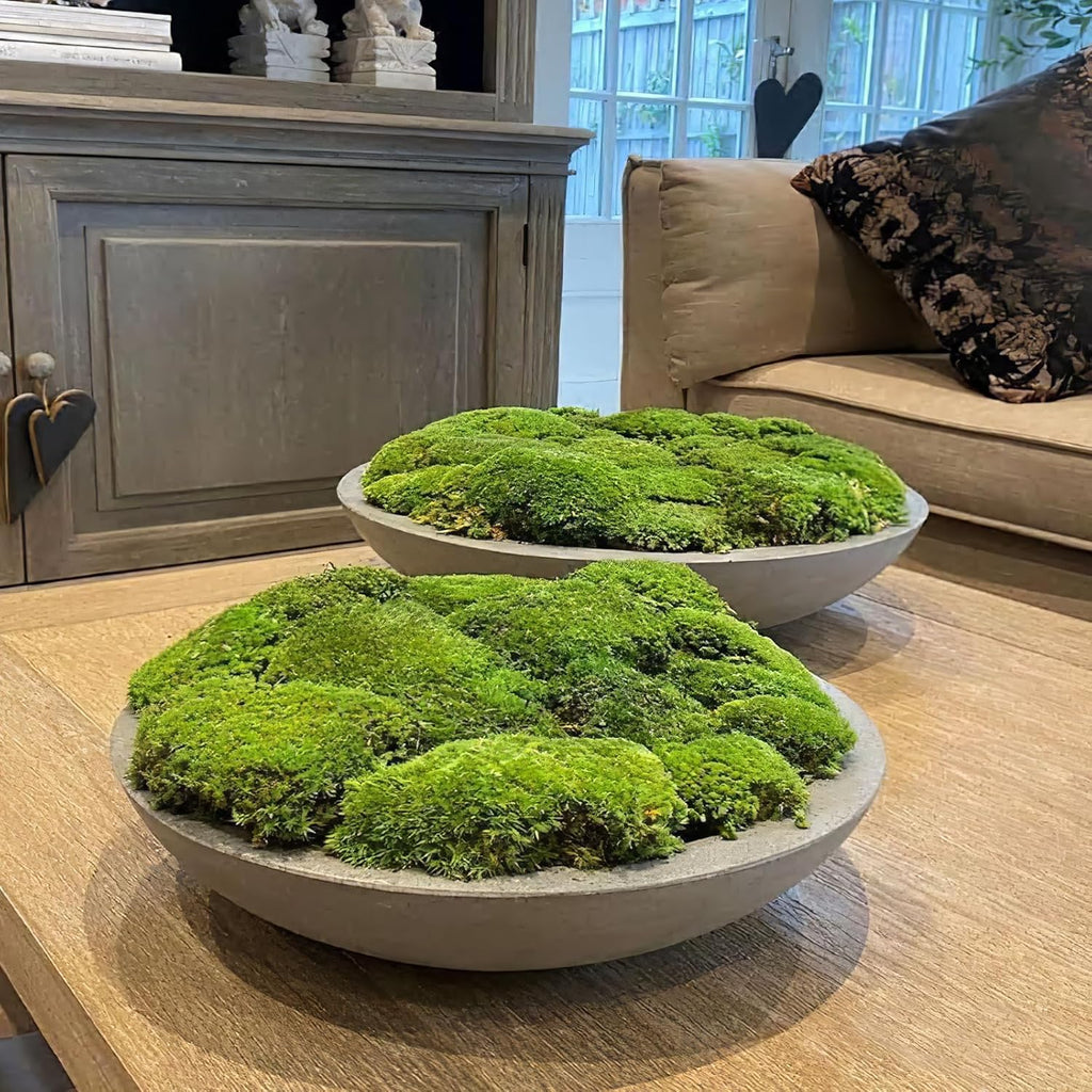 FAICOIA Preserved Moss Bulk Green Natural Preserved Pole Moss Pillow for Potted Plants 2.5 sq.ft Green Moss Balls for Bowls Wall Art Terrariums Crafts Fairy Gardens Easter Table Decor