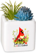 Cardinal Succulent Planter Flower Plant Pot Small, Gifts for Women Teens Girls Kids, Cardinal Lovers Themed Stuff Accessories Things Decor Merch, Home Office Table Desk Decoration!