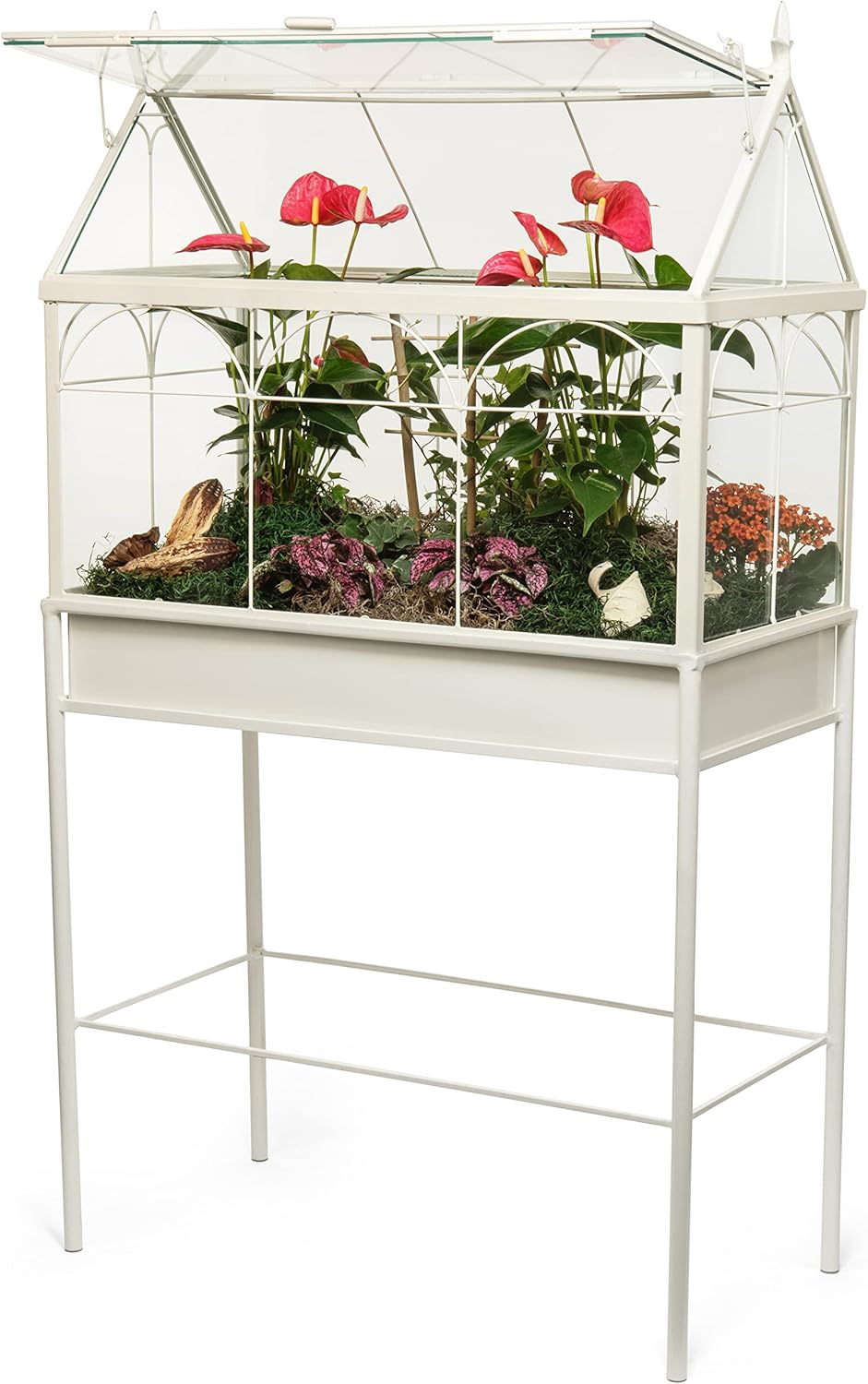 H Potter Terrarium Planter Freestanding Wardian Case (Large)