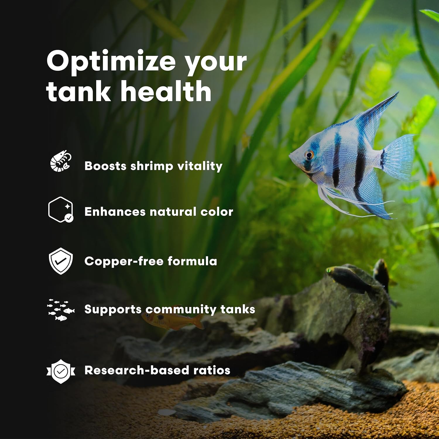 Brightwell Aquatics ShrimpCōde – Essential Trace & Minor Elements for Freshwater Shrimp, Crustaceans & Fish – Supports Molting, Coloration & Health, 500 ml