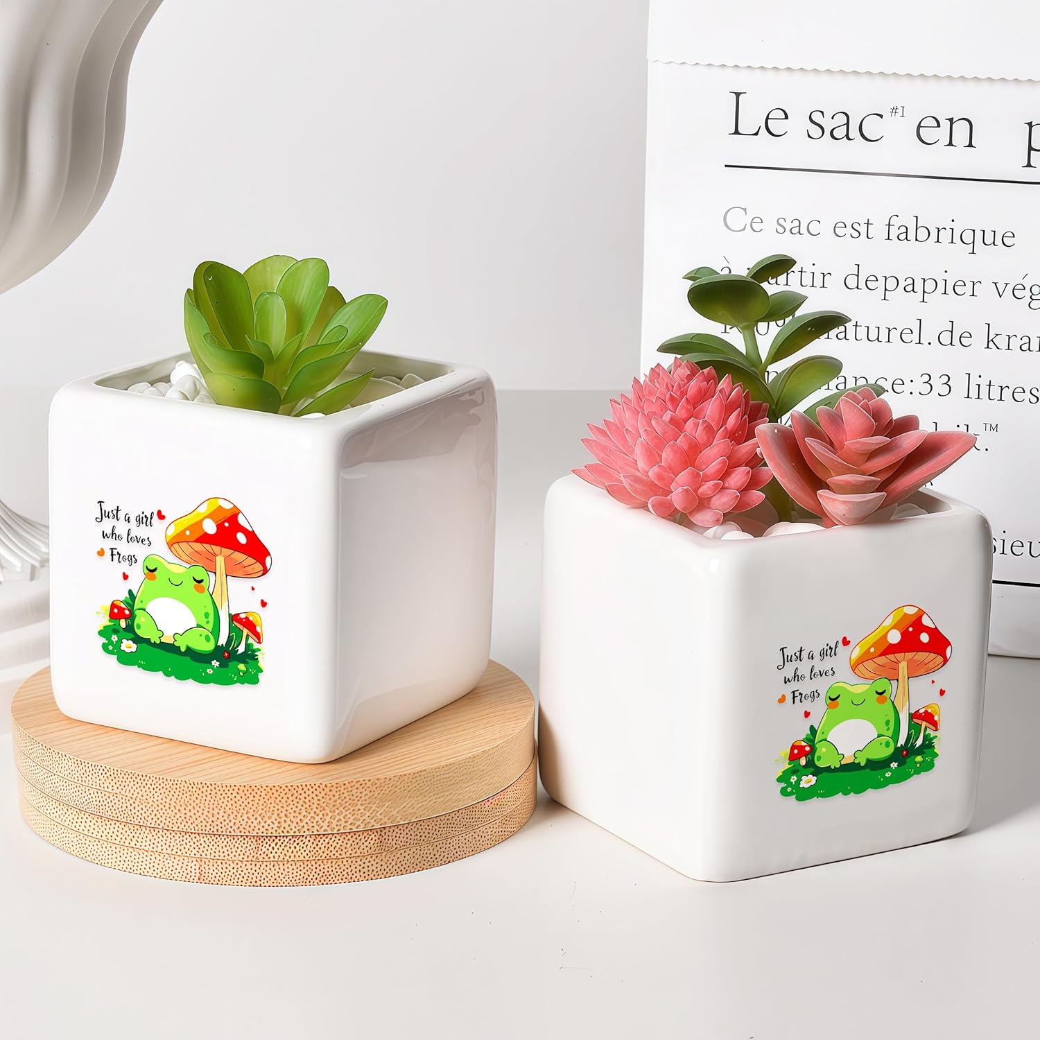 Frog Succulent Planter Flower Plant Pot Small, Gifts for Women Teens Girls Kids, Frog Lovers Themed Stuff Accessories Things Decor Merch, Home Office Table Desk Decoration!