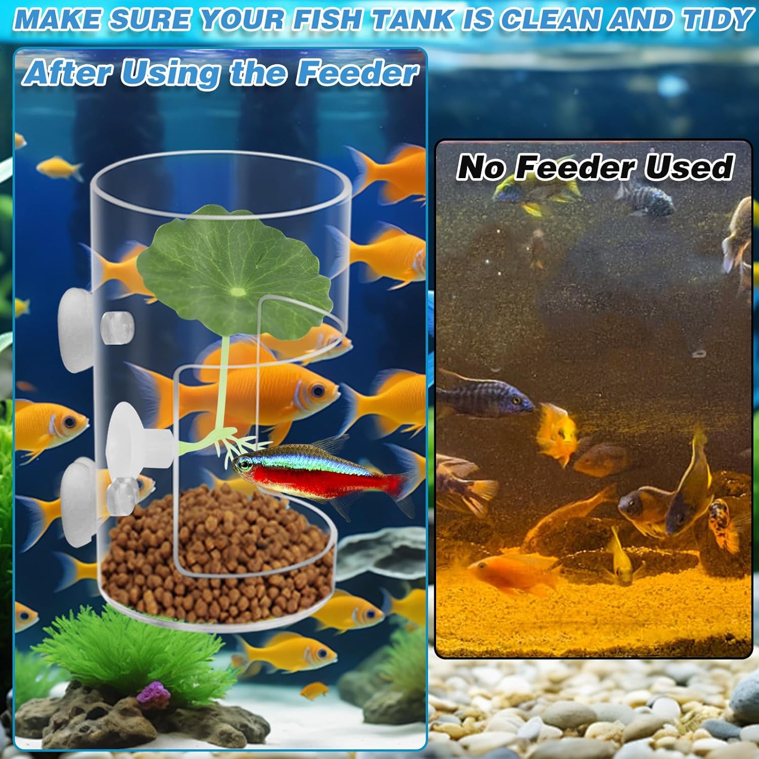 Fish Tank Food Tray with Suction Cups Comes with Two Single-Layer Small Lotus Leaves, Feeding Tube Supplies, Breeder Box for Aquarium, Round Aquariums & Fish Bowls Accessories