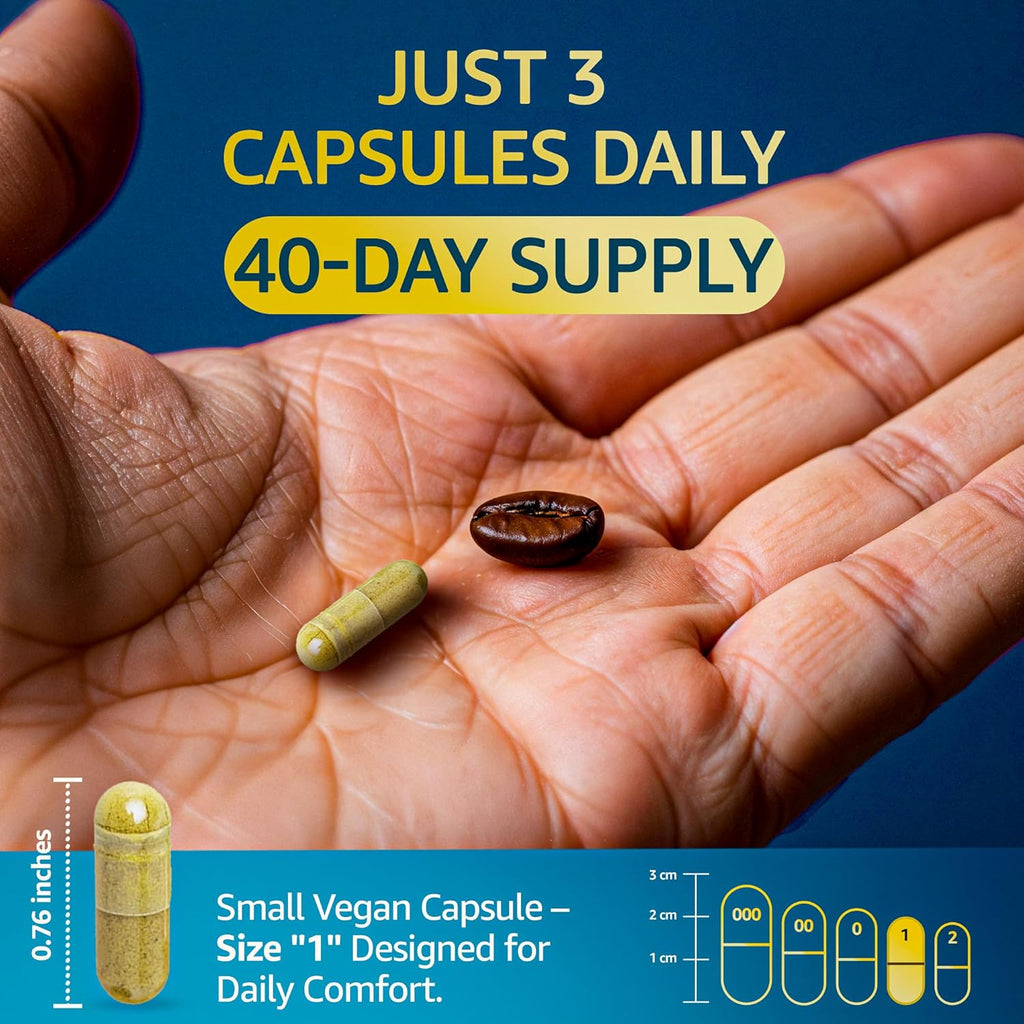 Organic Lions Mane Supplement Capsules - 360 Real Mushrooms Lion's Mane Capsules with Ginkgo Biloba Herb, Bacopa Monnieri, L Theanine, L Tyrosine - Mushroom Complex for Daily Wellness