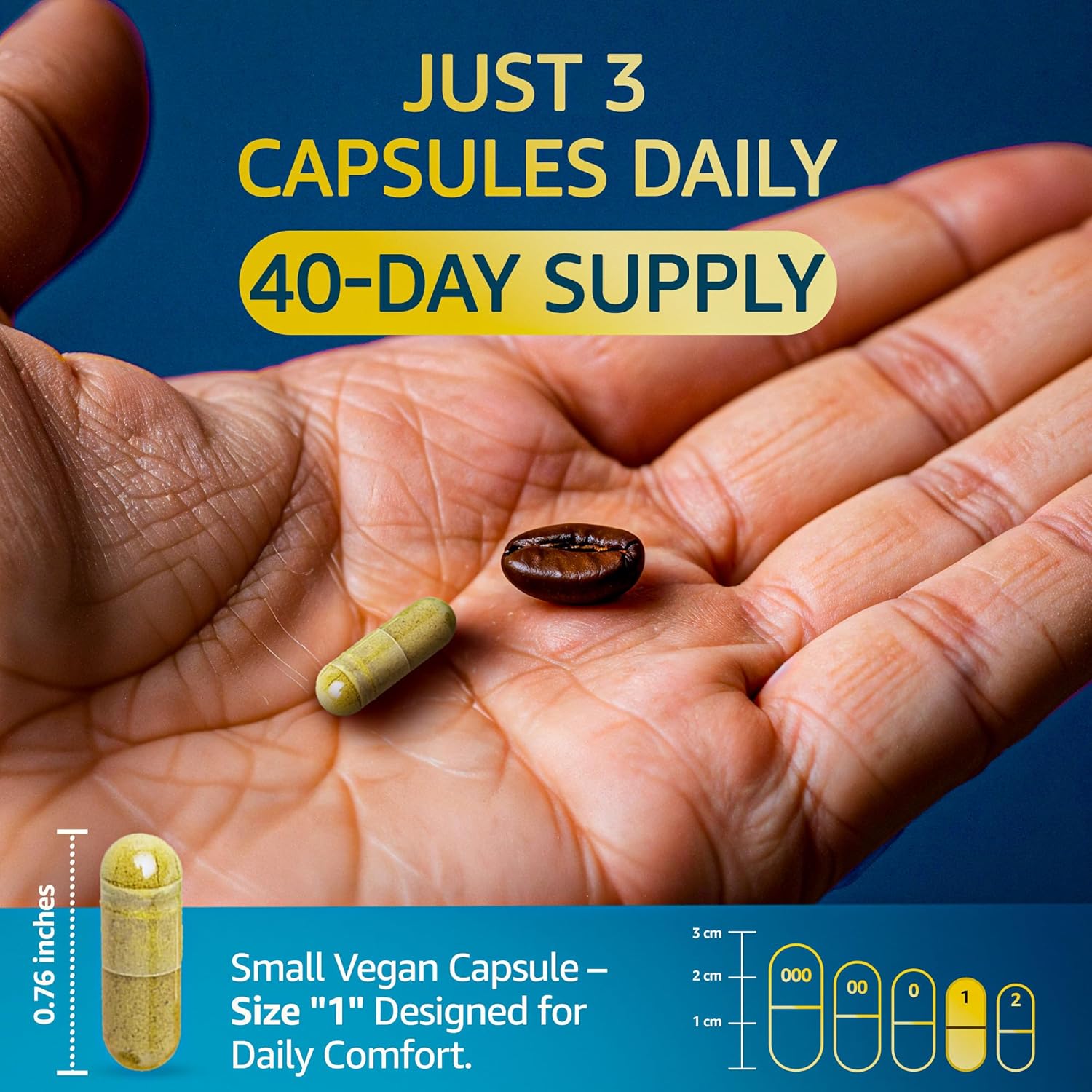 Organic Lions Mane Supplement Capsules - 360 Real Mushrooms Lion's Mane Capsules with Ginkgo Biloba Herb, Bacopa Monnieri, L Theanine, L Tyrosine - Mushroom Complex for Daily Wellness