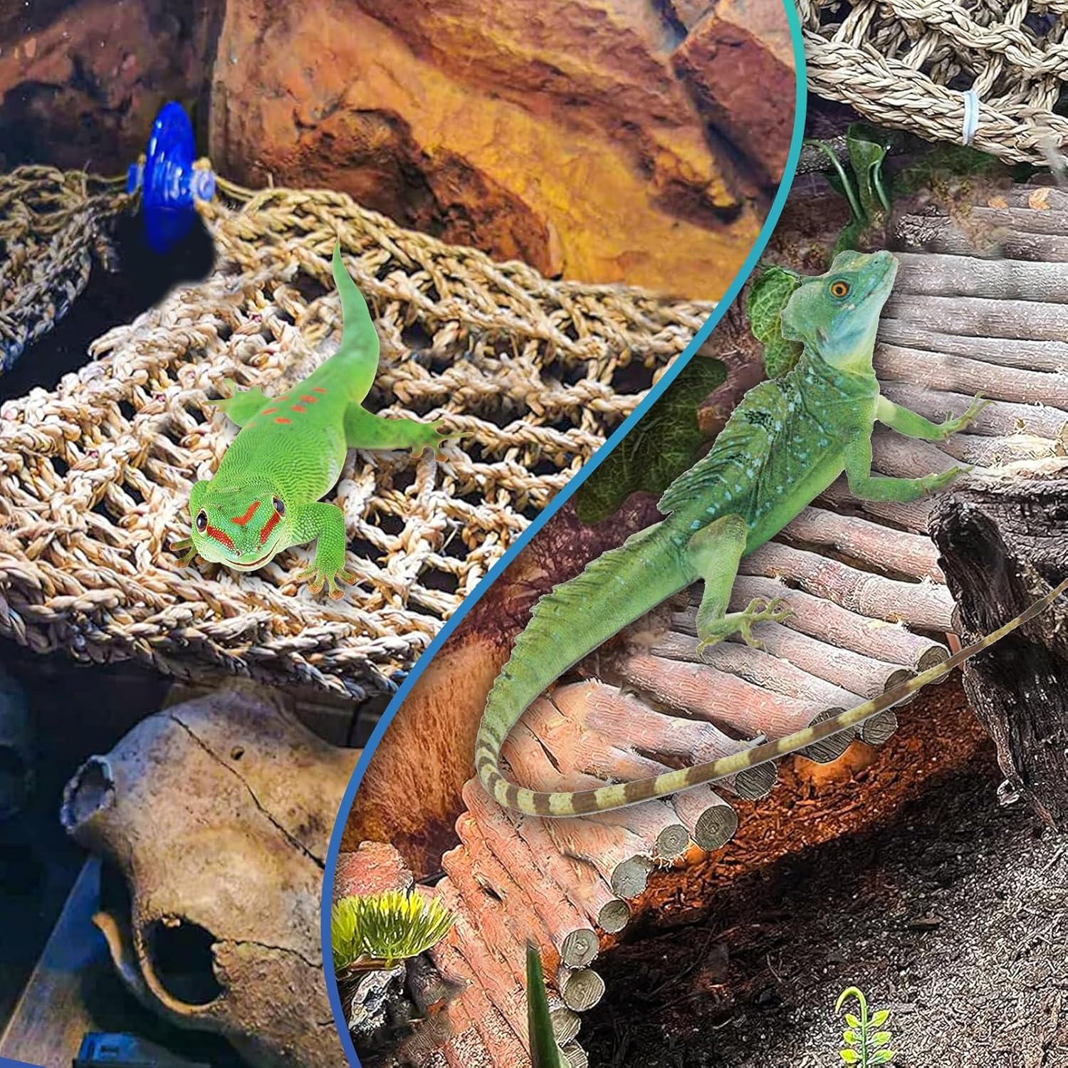 Hamiledyi Ladder and Hammock for Bearded Dragon Tank Accessories Active 11 PCS Reptile Hammock Bridge Flexible Jungle Climber Vines Leopard Gecko Tank Habitat Decor Terrarium Plants for Lizard Hiding