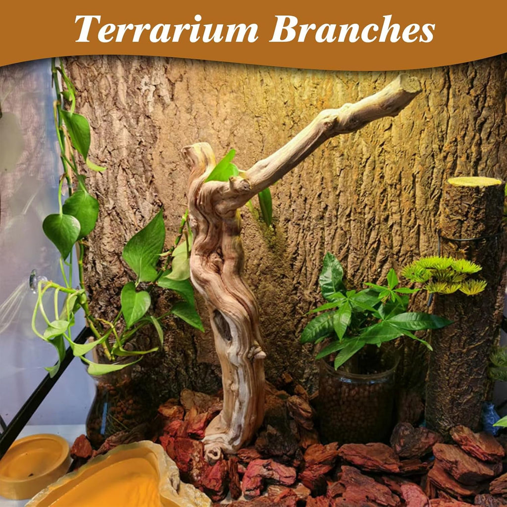 Reptile Branch Decor 2 Pack Snake Climbing Wood Branches Lizard Habitat Decorations Terrarium Natural Forest Tree Trunk Ornament for Bearded Dragon Geckos Chameleon Frog