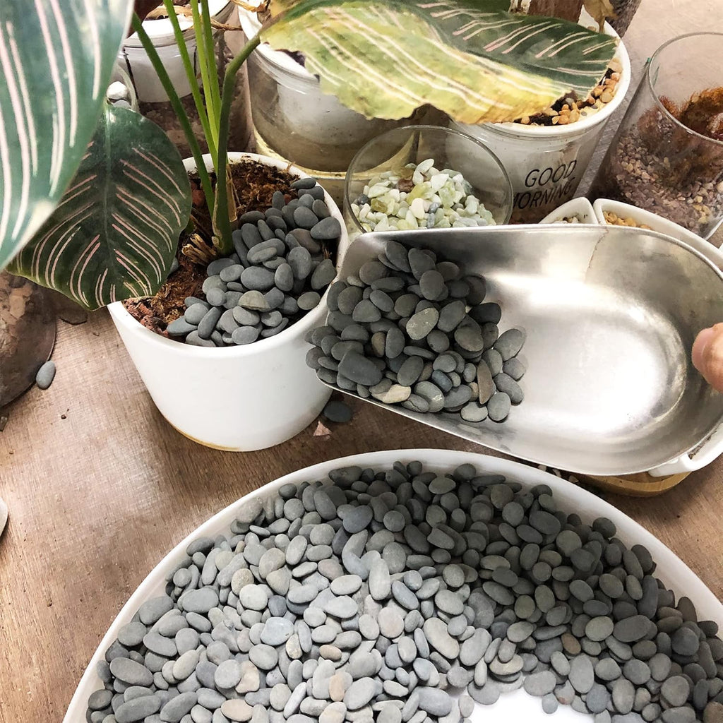 Black Rock, CJGQ 3lb River Rocks Pebbles for Plants Succulents, Decorative Outdoor Landscaping Garden Rocks, Natural Small Mexican Beach Pebbles Aquarium Rocks Gravel for Fish Tanks Vase Yard Decor