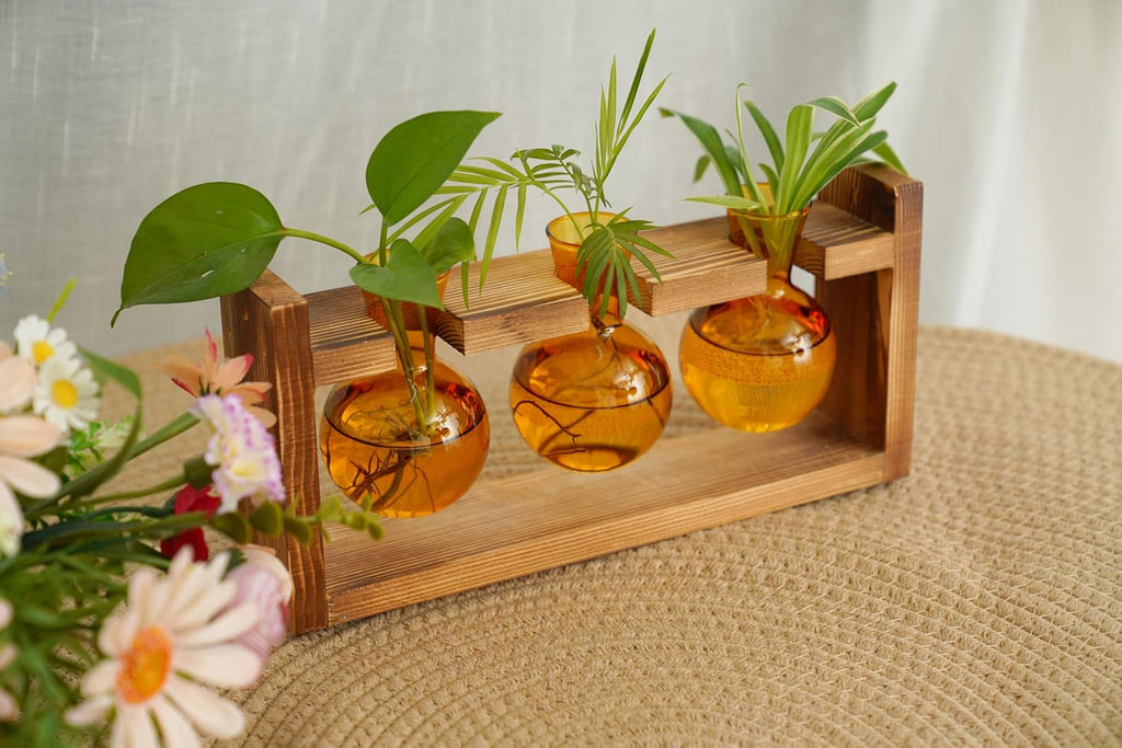 Kingbuy Glass Plant Terrarium Propagation Station - 3 Bulb Colored Vases with Retro Wood Stand Indoor Garden Planter - Wall Mounted & Desktop Decor for Home Kitchen Wedding, Plant Lover Gift, Amber
