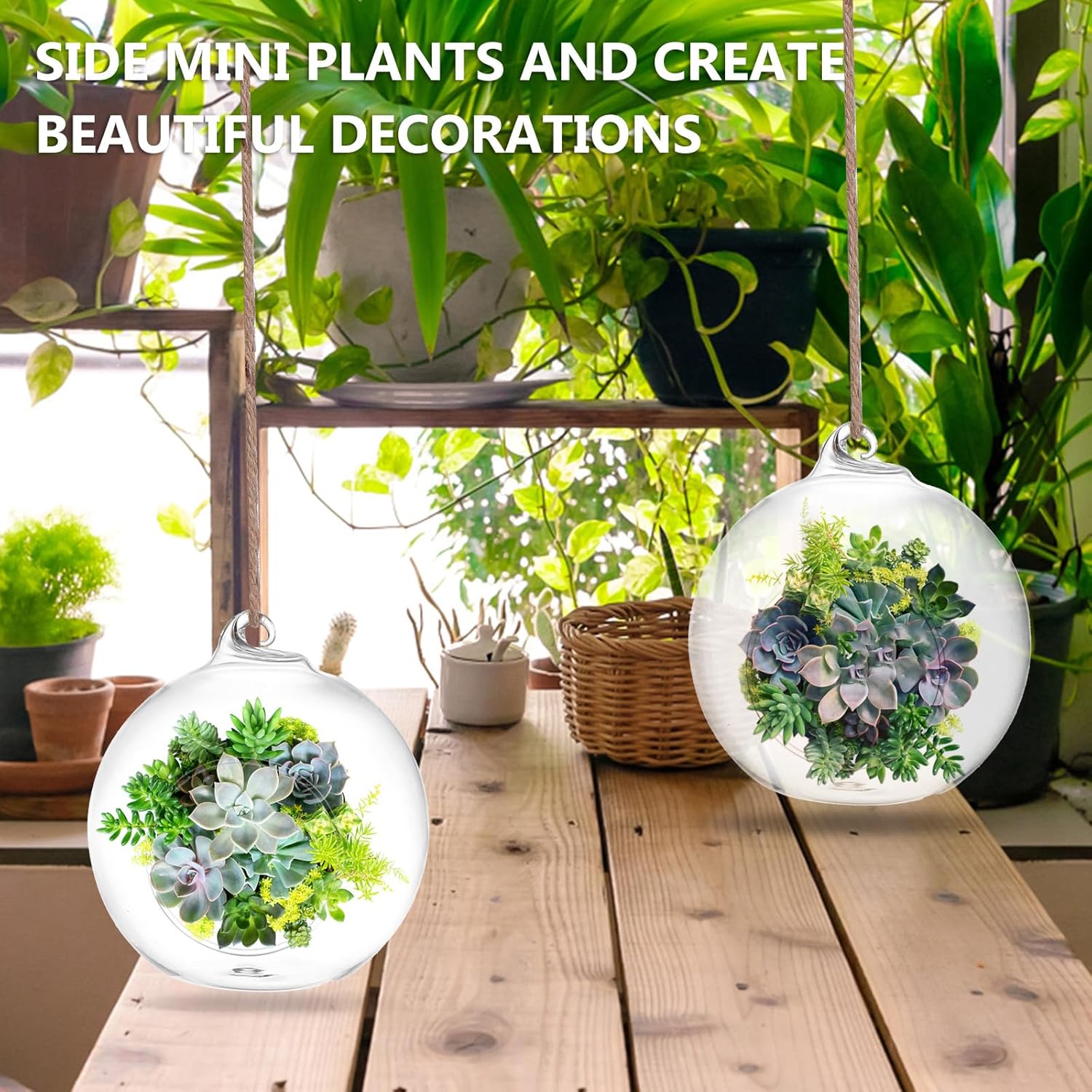 SUPVOX 6pcs Hanging Glass Terrarium Globes - 4 Inch Orb Air Plant Holders for Succulents, Moss & Tea Light Candles | Indoor/Outdoor Home Decor, Wedding Centerpieces, Mini Garden DIY (Clear)