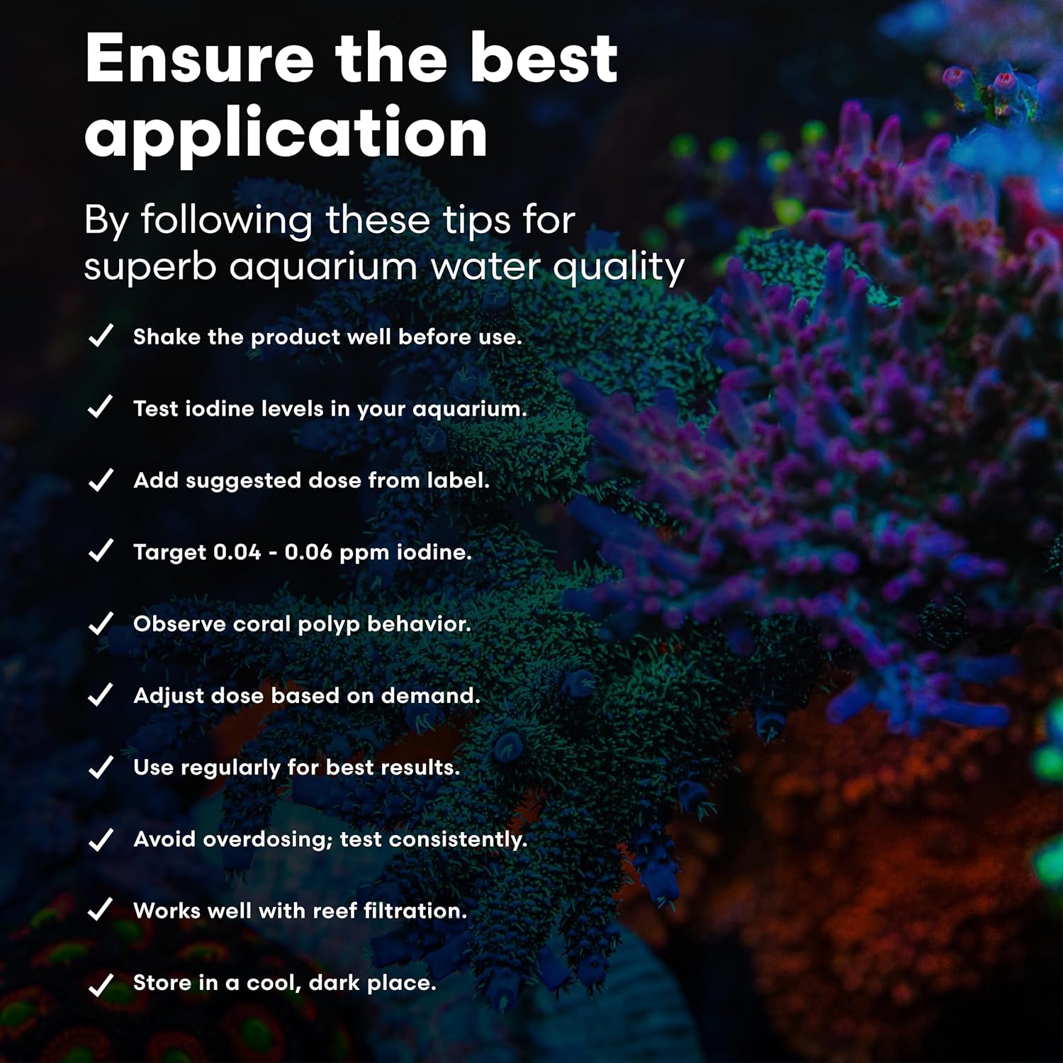 Brightwell Aquatics Iodion Iodide Supplement for Corals Clams Fish Macroalgae Enhances Polyp Extension Lighting Tolerance in Reef Marine Aquariums, 20L