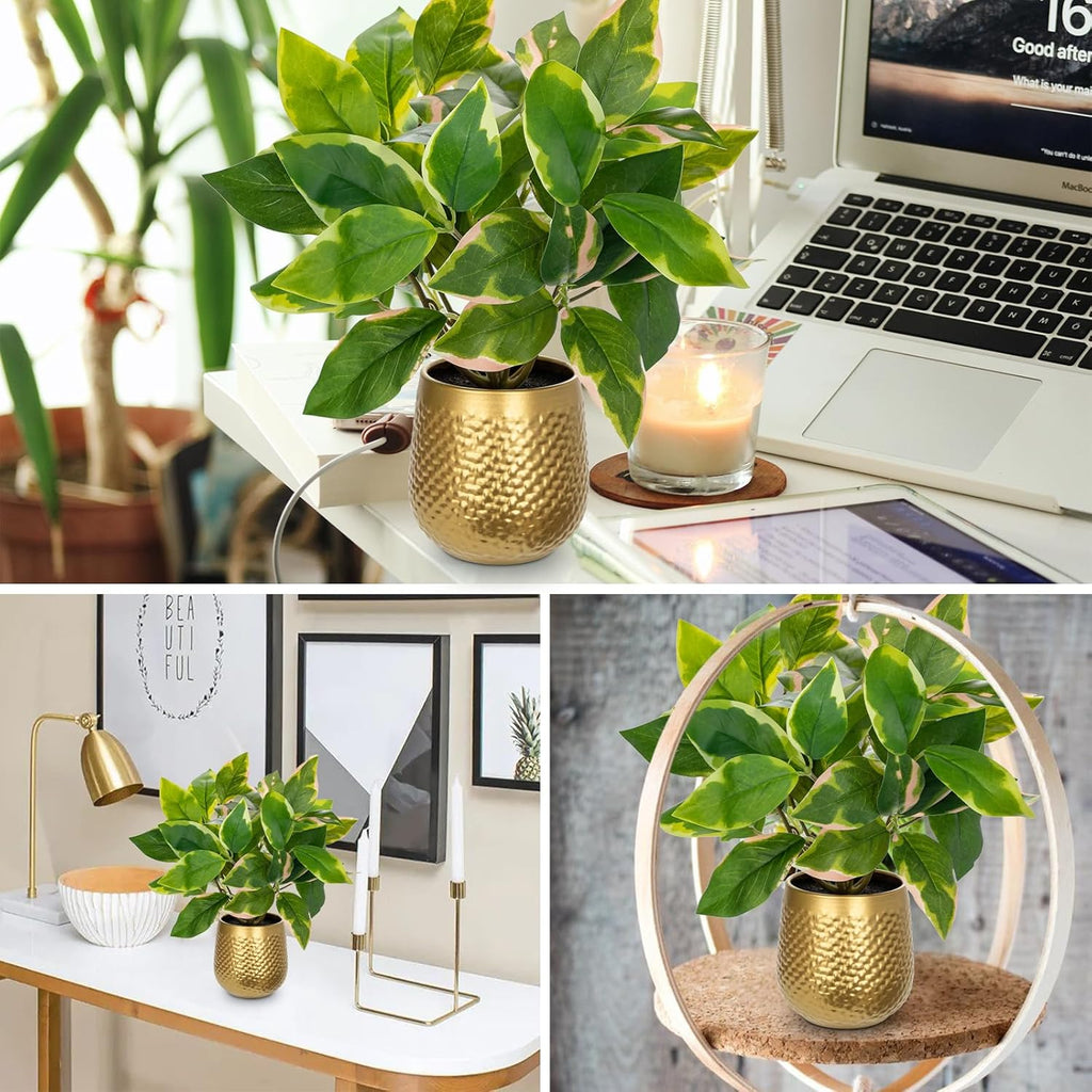 Oairse Articicial Plants Indoor Small Fake Plants in Pots Faux Pothos N‘ Joy Potted Plant Fake Indoor Plants with Gold Pots for Bathroom Living Room Office Desk Shelves
