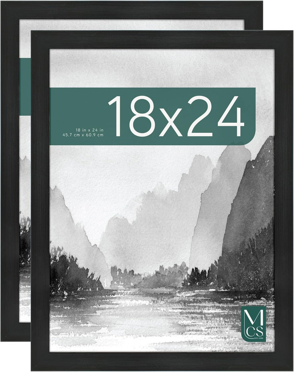 MCS Museum Poster Frame 18x24 Onyx, Vertical & Horizontal Wall Hanging Large Picture Frame for Photos, Posters & Art Prints (2-Pack)