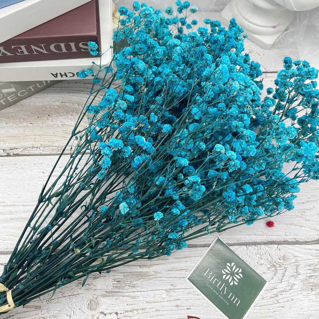 Preserved Baby's Breath, 100% Natrual Gypsophila Long Lasting Flowers for Vase Arrangements Home Decoration Photo Props Parties and Weddings, DIY Décor-Blue