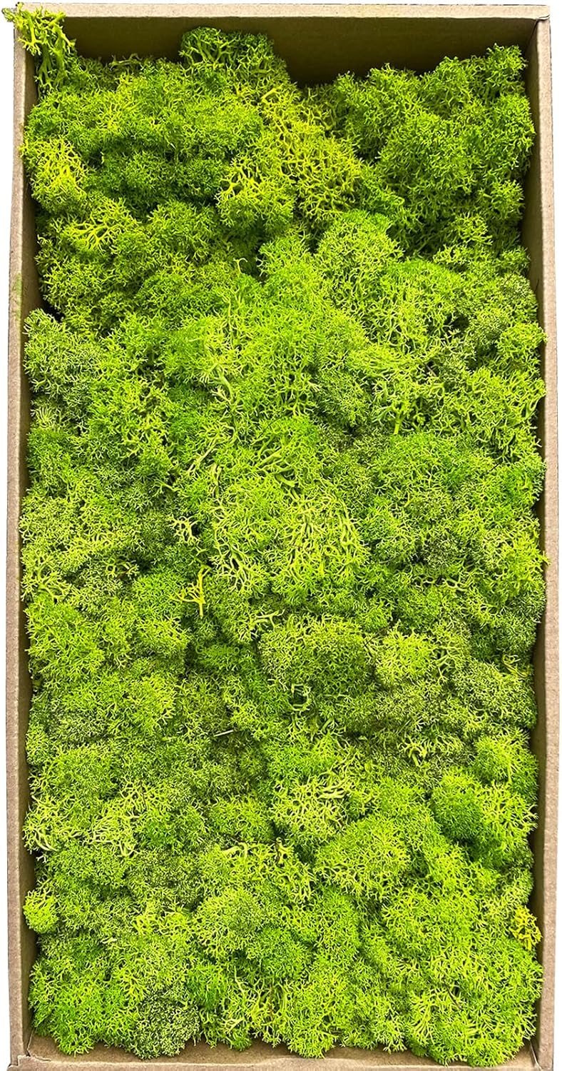 Preserved 1.1lb Moss Artificial Moss Natural Fresh Green Moss for Craft Handicraft Arts Floral Project Wall Decor Table Decor Wedding Centerpieces Garden Terrariums Decoration