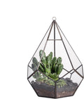 NCYP Hanging Glass Geometric Terrarium for Succulent - 6.8" x 6.8" x 8.6" Indoor Teardrop Shape Plants Planter, Tabletop Decorative Centerpiece, Black Container, Opening, Handmade (No Plants)