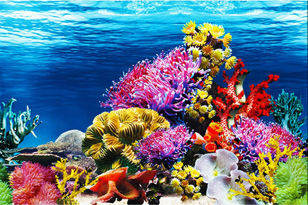 ELEBOX Fish Backgrounds Paper Double Sides Aquarium Background Picture, Colorful Fish Tank Background 16"x 40"
