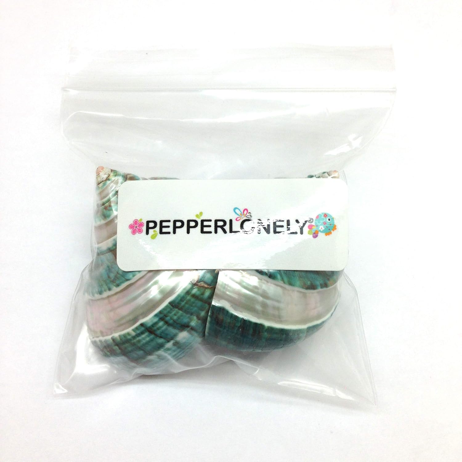 PEPPERLONELY 2 PC Natural Large Hermit Crab Shells, Banded Green Blue Gade Turbo, 2-1/2 Inch ~ 3 Inch