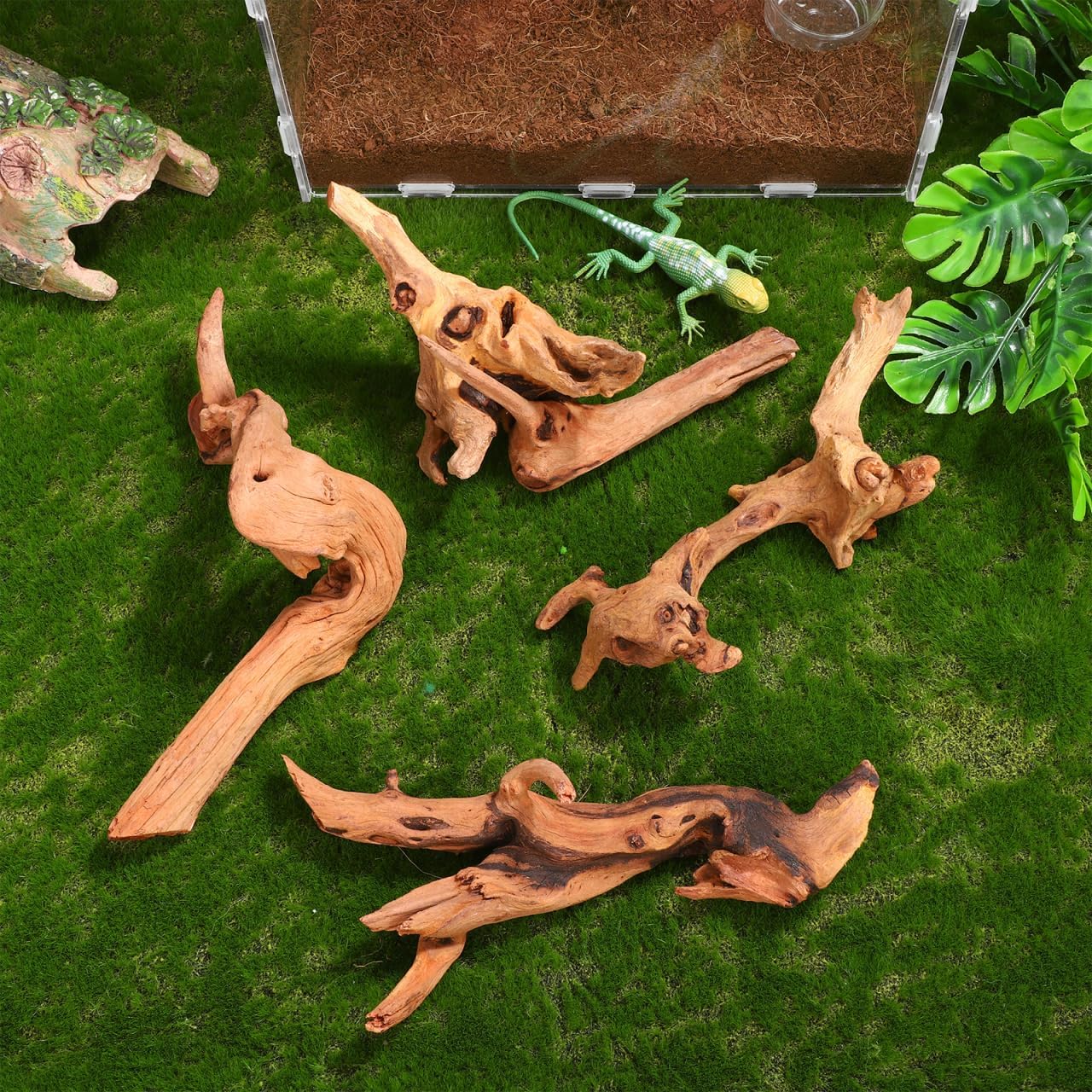 Aquarium Driftwood Small 4Pcs Natural Wood for Fish Tank Freshwater Decorations Reptile Branches Terrarium Decor Easy Install
