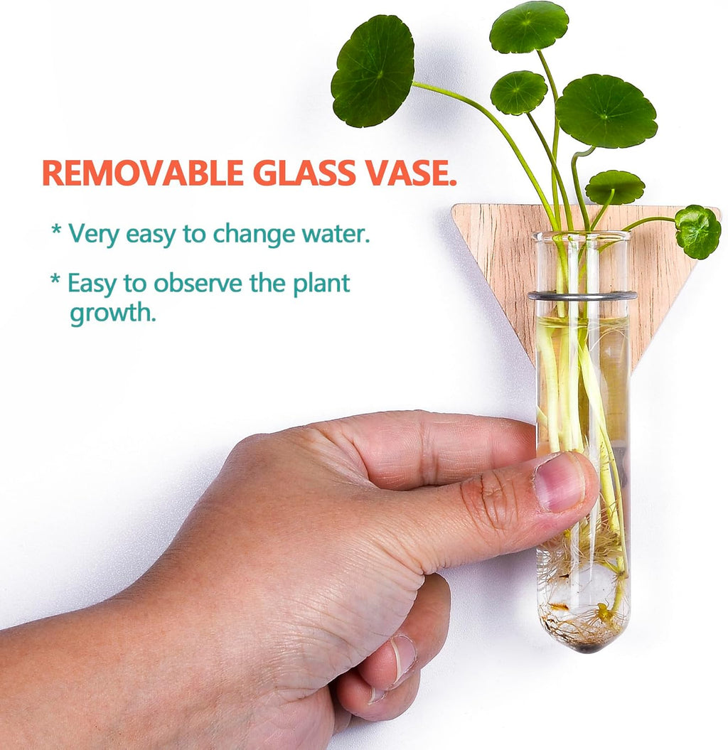 MITIME Wall Hanging Planter Glass Plant Propagation Station,Geometric Wooden Stand for Home Office Decoration.