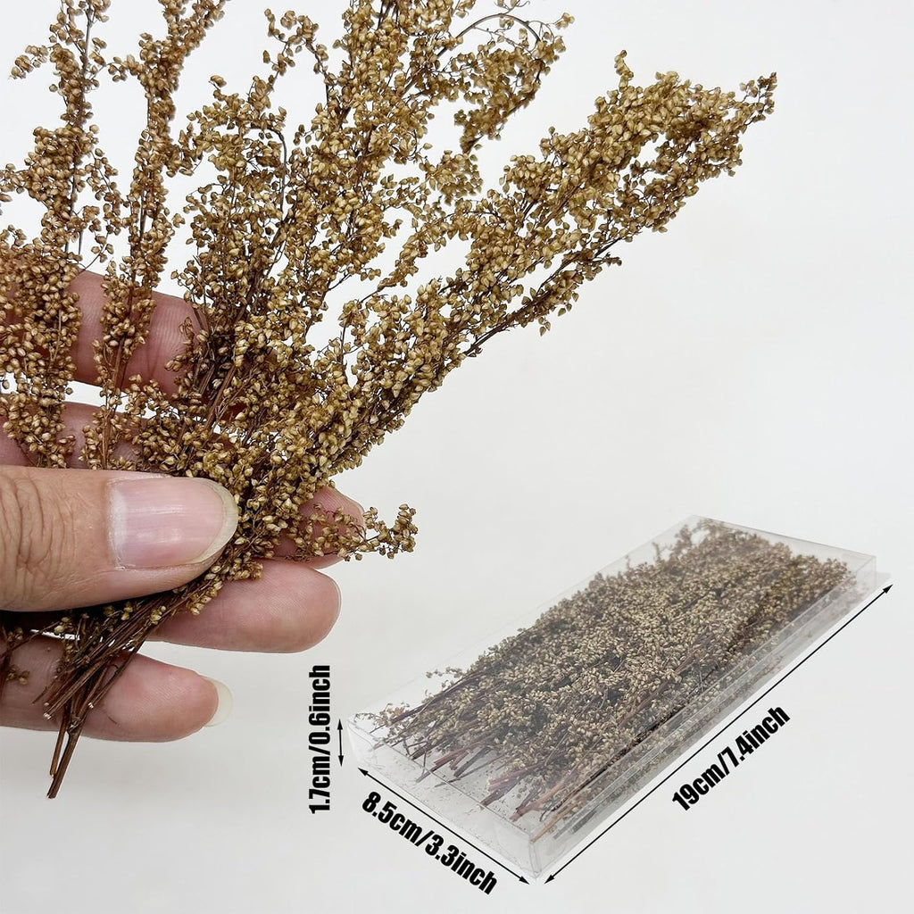 Woohome Miniature Static Grass Model Wheat Model Grass Tufts Static Artificial Grass for Train Landscape Railroad Scenery (Color 11)