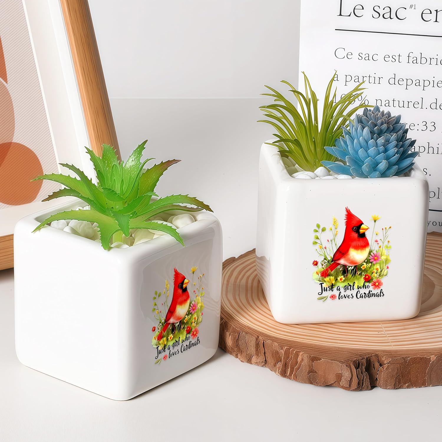 Cardinal Succulent Planter Flower Plant Pot Small, Gifts for Women Teens Girls Kids, Cardinal Lovers Themed Stuff Accessories Things Decor Merch, Home Office Table Desk Decoration!
