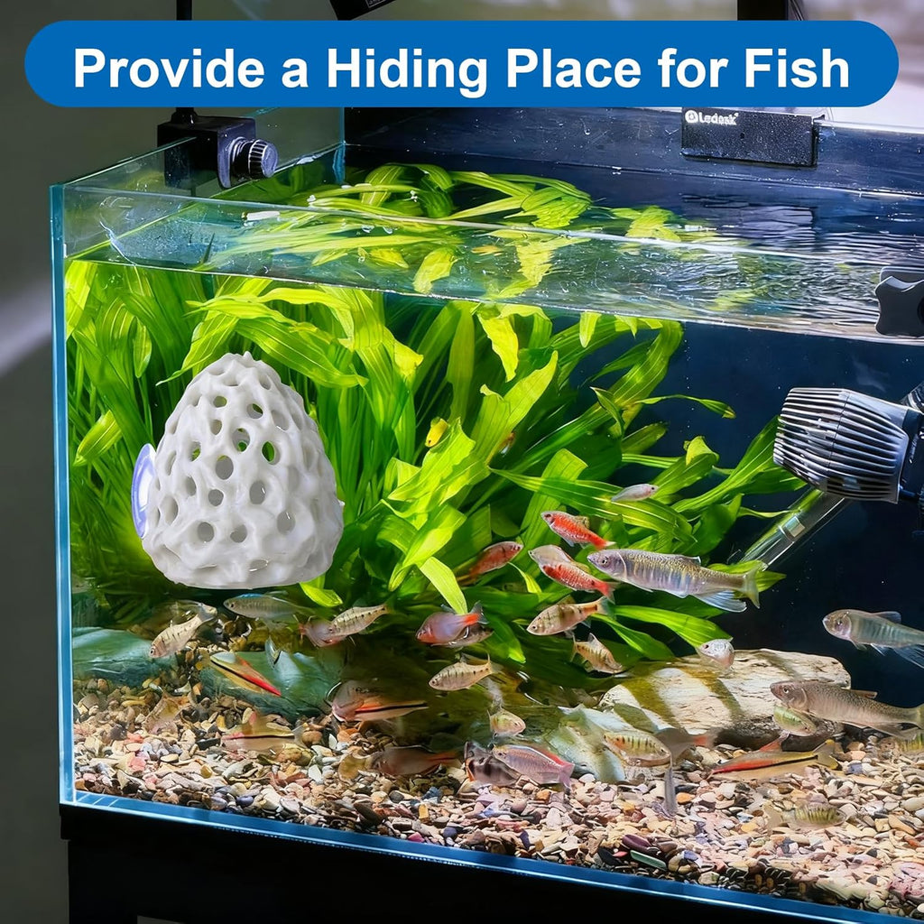 Shrimp Hide Shrimp Hides for Aquarium Betta Habitat Fish Tanks Tunnel with Suction Cup Aquarium Fishes Hideout Ornament Accessories for Small Fish Guppy