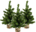 AuldHome Design Mini Christmas Trees (3-Pack, 10-Inch); Canadian Pine Greenery Tabletop Holiday Decor