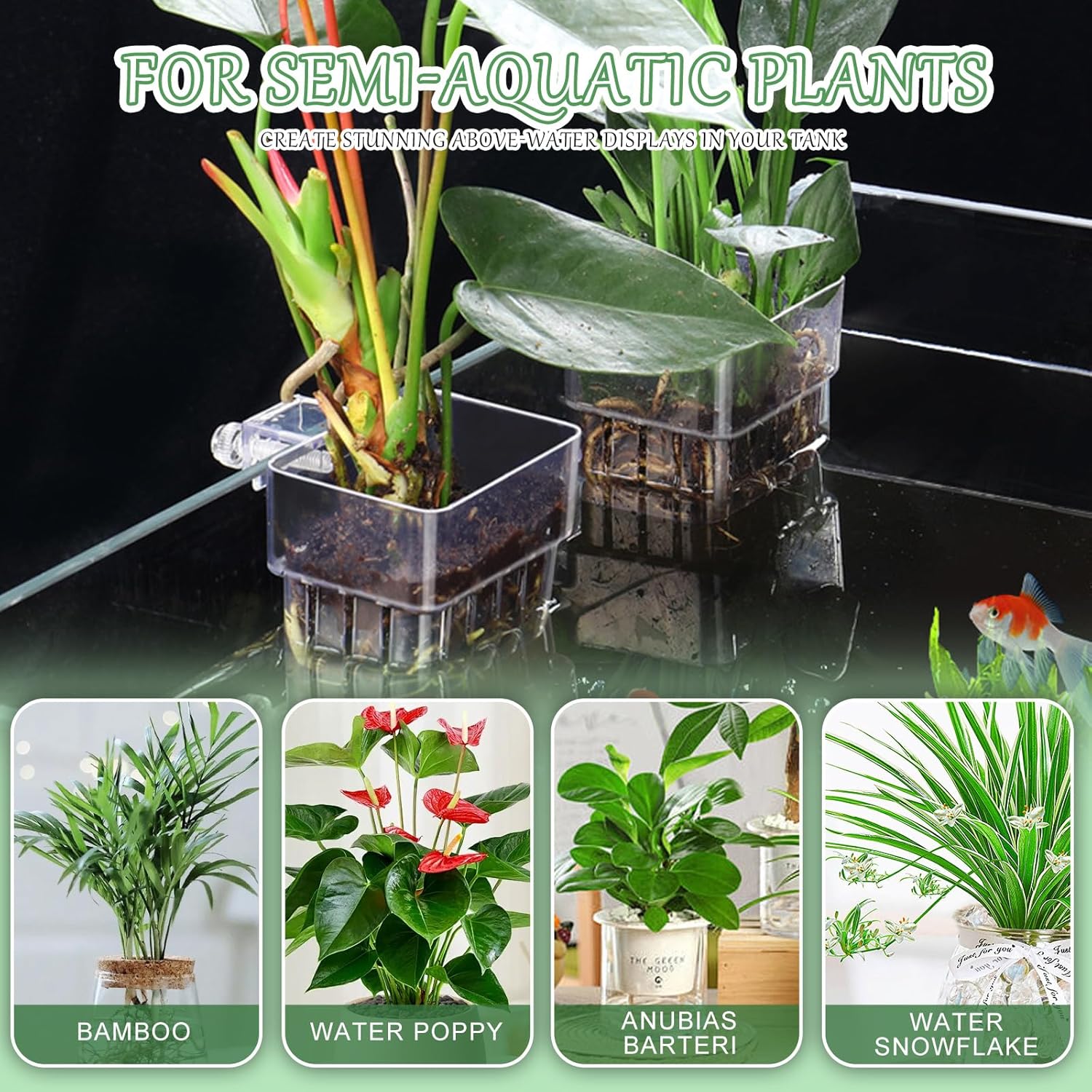 12PCS Aquarium Plant Holder Rimmed Tank Clear Fish Tank Plant Holder Aquarium Live Plants Hanging Aquariums Planter Holders for Fish Tank Aquaponic Plants Cultivation and Aquascape Decorations