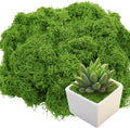 Artificial Moss 5.3oz – Fake Green Moss for Crafts, Potted Plants, Fairy Garden Decor, DIY Table Centerpieces, Wedding Party Decoration