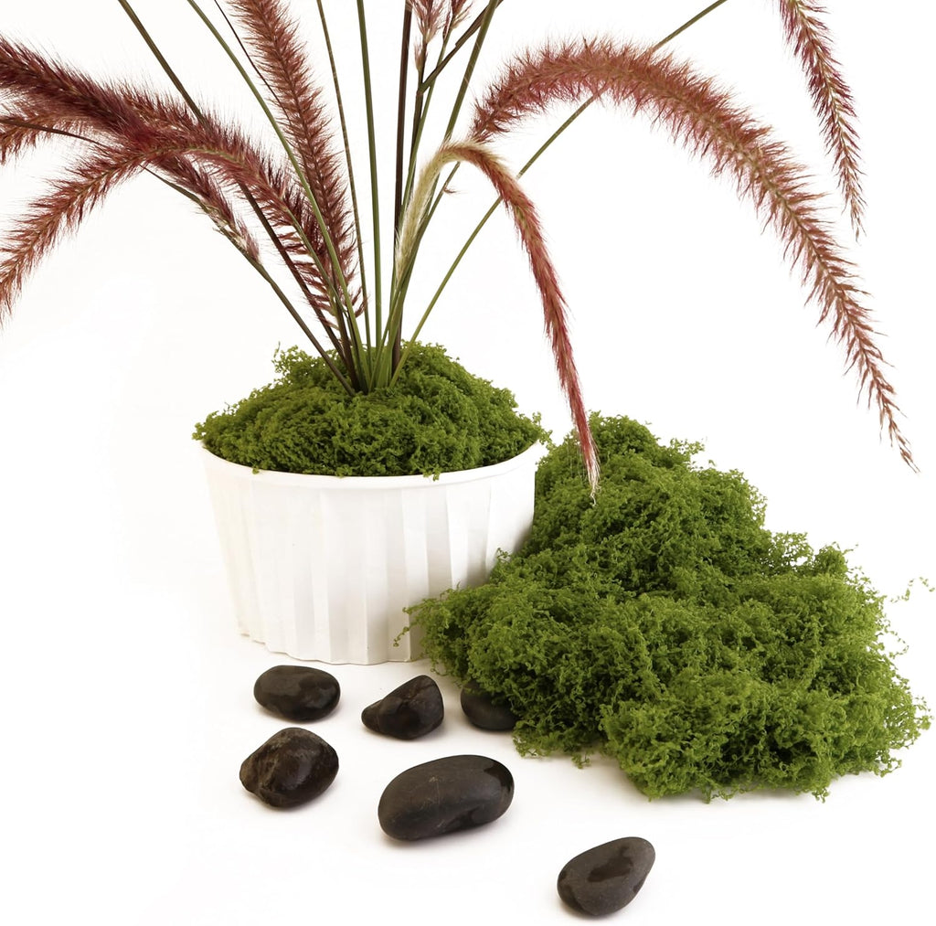 Caiyjhao Simulated Green Moss Crafts, Flowerpot Decorative Fillers, Green Decorations in The Center of The Dining Table, Indoor Flowerpots, DIY ，Weddings, Easter, Party Decorations (5.29 Oz)