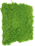 Artificial Moss Turf Lifelike Faux Lawn for Landscape Decoration for Garden Fish Tank Bonsai and Photo Props Lightweight Material Flocking