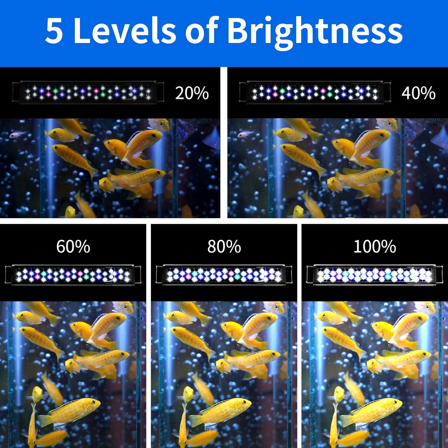 AQUANEAT LED Aquarium Light for 12 Inch Fish Tank, Auto On Off with Timer, Full Spectrum, Adjustable Brightness, Daylight Moonlight Mode, for Fresh Water Low-to-Mid Light Plants