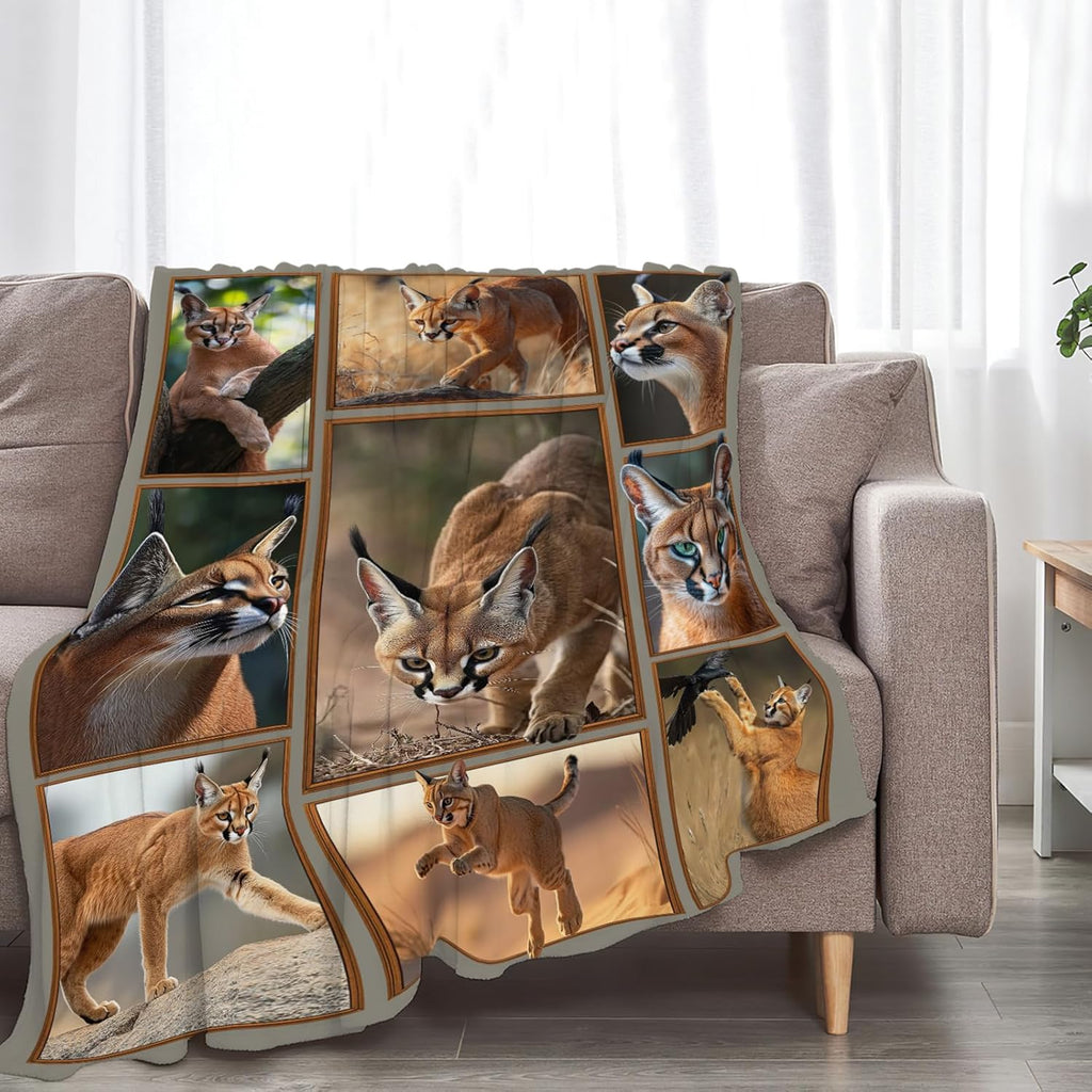 Caracal Blanket African Caracal Animal Lover Throw Blankets Gifts for Girls Boys Kids Soft Cozy Fleece Plush for Couch Sofa Bed 80"x60"