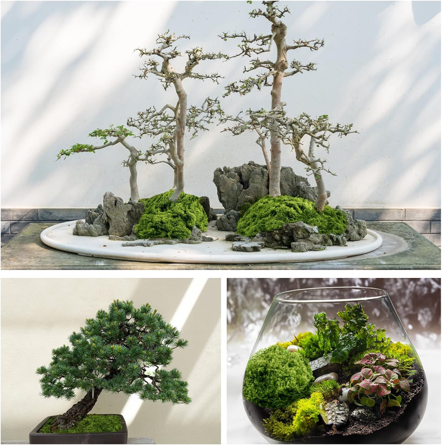 Fake Green Moss for Plants Indoor, 5.3OZ Artificial Moss for Potted Plants Decor, DIY Decorative Moss for Crafts Fairy Garden Floral Wedding Model Making Glass Containers Home (150g)