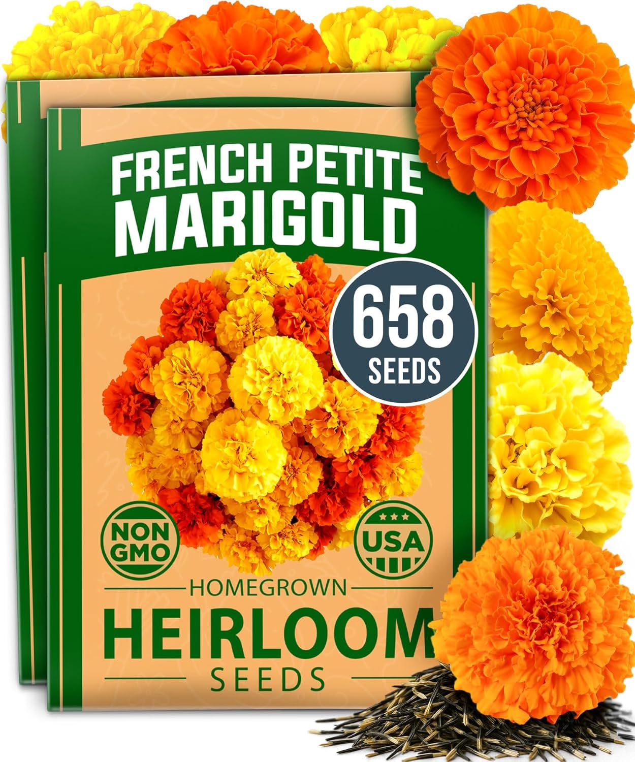 HOME GROWN Petite French Marigold Seeds 658 Flower Seeds for Planting Outdoor Easy to Grow Companion Plant & Quick Blooming Pollinator Heirloom Wildflower Seeds (Tagetes patula)