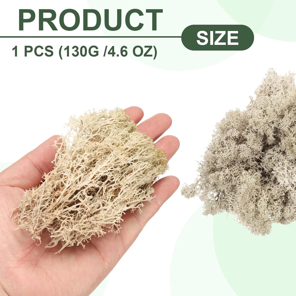 MECCANIXITY 4.6oz Preserved Reindeer Moss, Brown Decorative Artificial Fake Moss for Potted Plants Indoor Crafts Lichen Centerpieces Decor