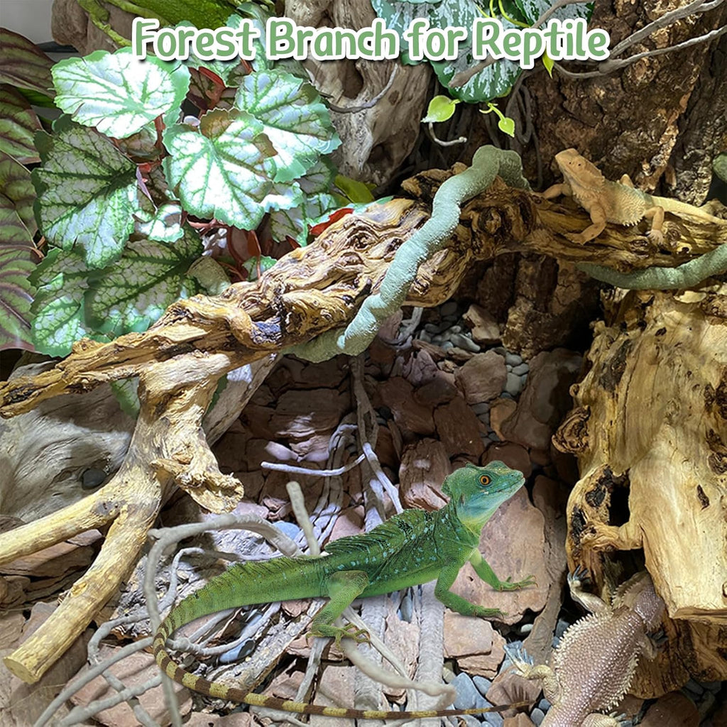 Reptile Branch Decor 2 Pcs Snake Climbing Wood Branches Lizard Habitat Decorations Terrarium Natural Forest Tree Trunk Ornament for Bearded Dragon Geckos Chameleon Frog