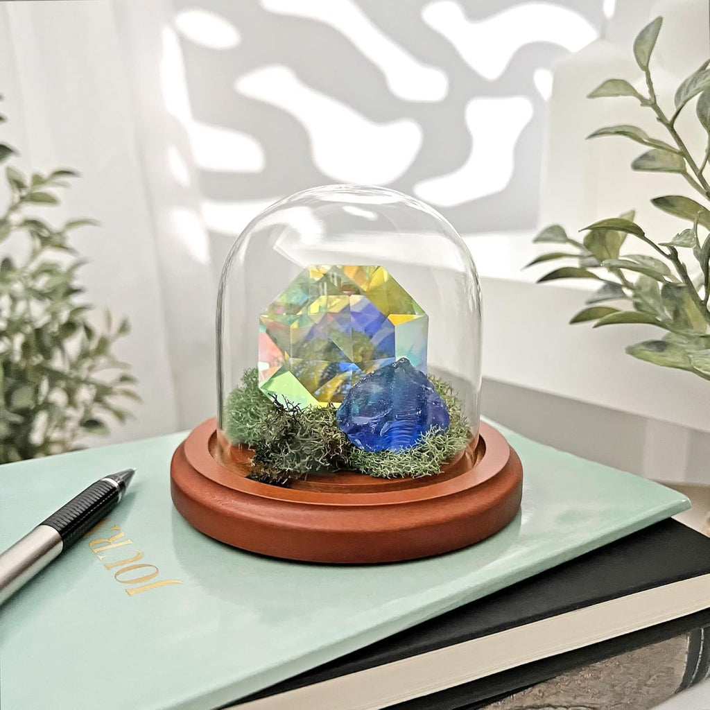 Plymor 3" x 3" Glass Display Dome Cloche (Walnut Base)