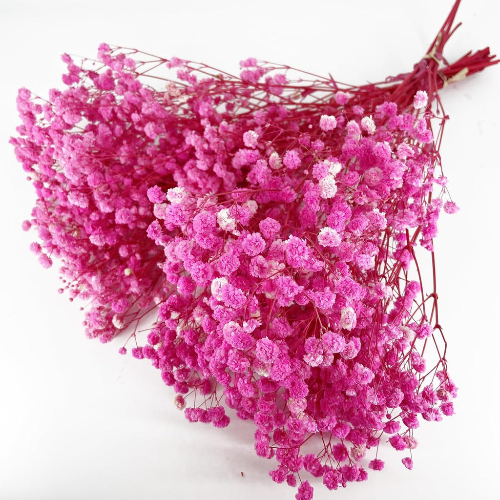 Birtlynn Preserved Baby's Breath, 100% Natrual Gypsophila Long Lasting Flowers for Vase Arrangements Home Decoration Photo Props Parties and Weddings, DIY Décor-Pink