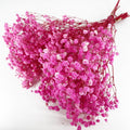 Birtlynn Preserved Baby's Breath, 100% Natrual Gypsophila Long Lasting Flowers for Vase Arrangements Home Decoration Photo Props Parties and Weddings, DIY Décor-Pink
