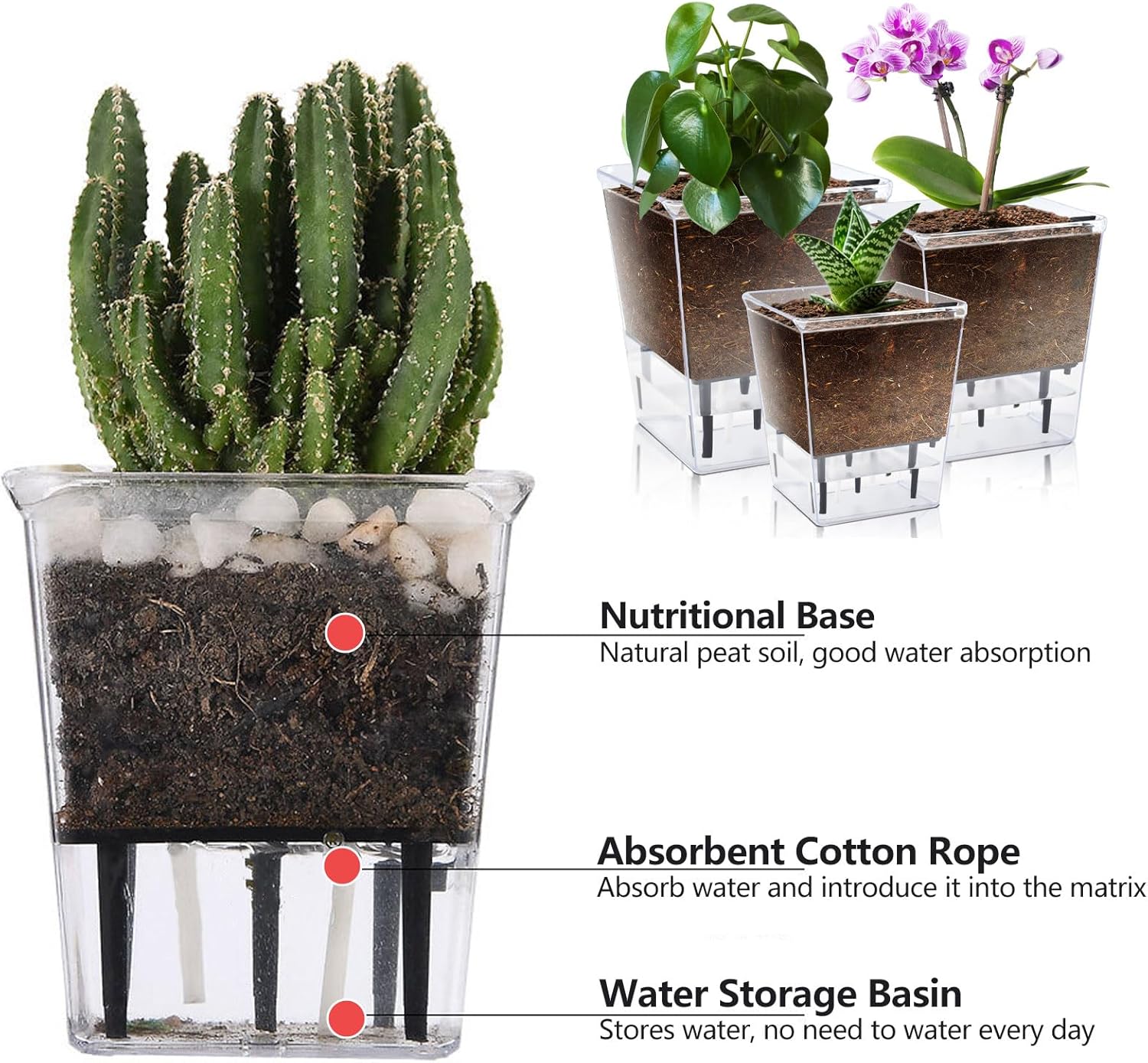 Self Watering Pots Set, 3 Pack 2.7 Inch Pots for Indoor Plants, Clear Nursery Planter with Deep Reservoir for Succulents, Seedlings, Small Plants