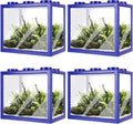 4PCS Plastic Small Betta Fish Tank, 0.6 Gallon Stackable Fish Bowl, Cube Fish Aquarium Tank for Shrimp, Turtle, Small Crab (Blue)