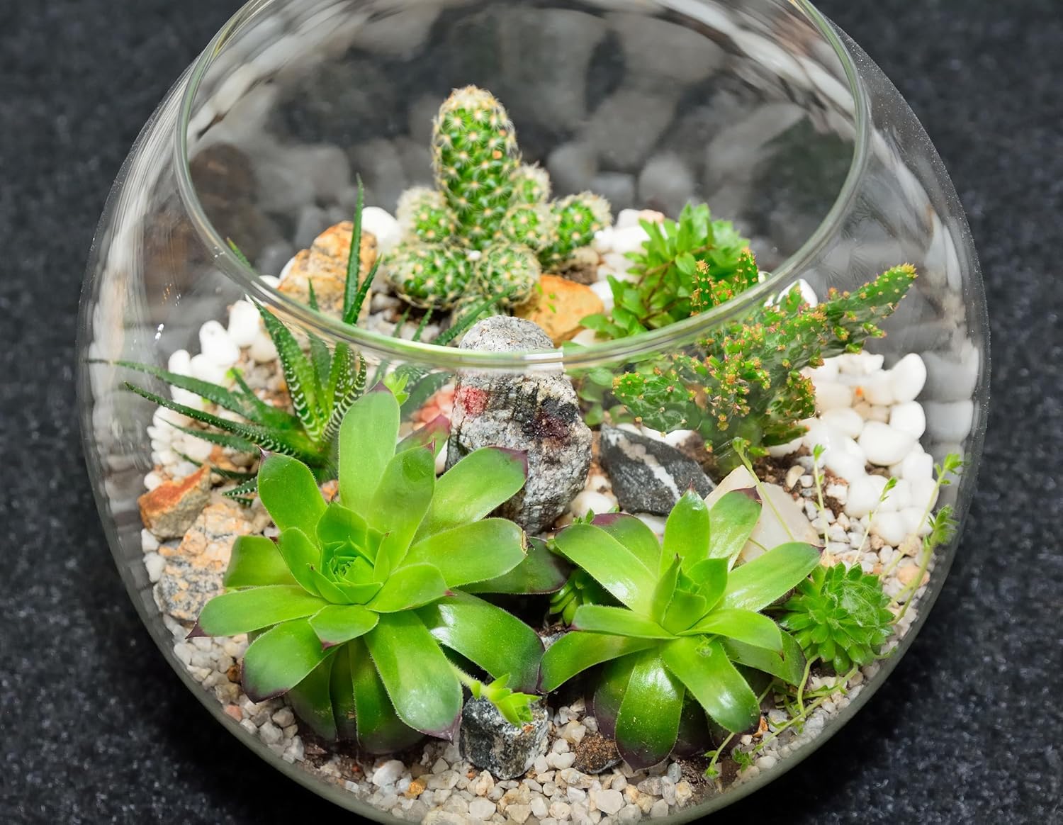 Sawysine 8 Pcs Bubble Bowl Vase Centerpiece 7.8''W X 6.3''H Round Glass Flower Vase Bulk Clear Terrarium Fish Bowl for Wedding Event Goldfish Planter Floral Centerpiece Office Home Decor