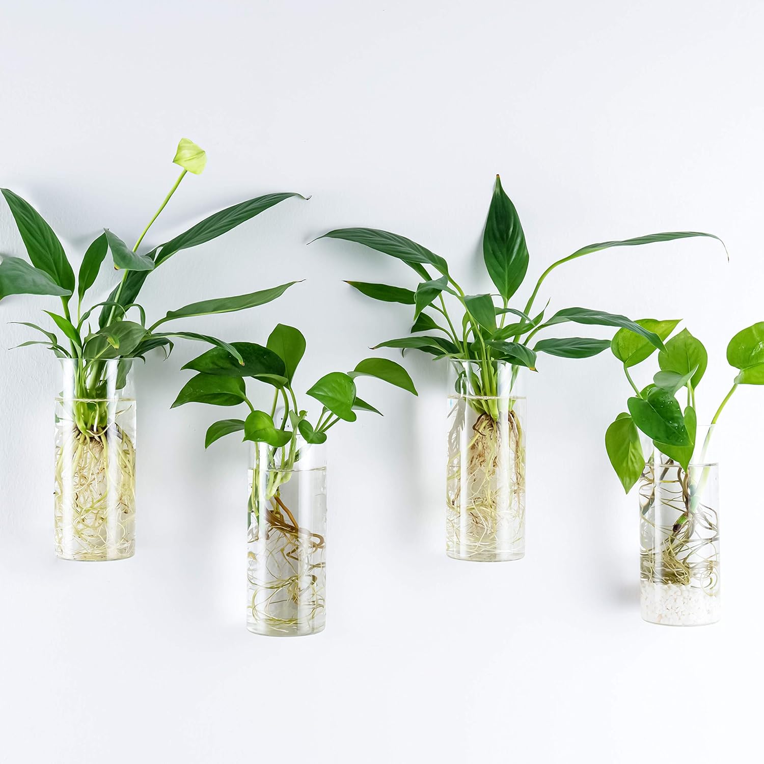 Kingbuy Glass Tube Wall Planter Propagation Station - 4 Pack Terrarium Cylinder Wall Vase with Plant Holder Hydroponic Planter for Home Kitchen Office Decor, Perfect Plant Lover Gifts (Short Cylinder)