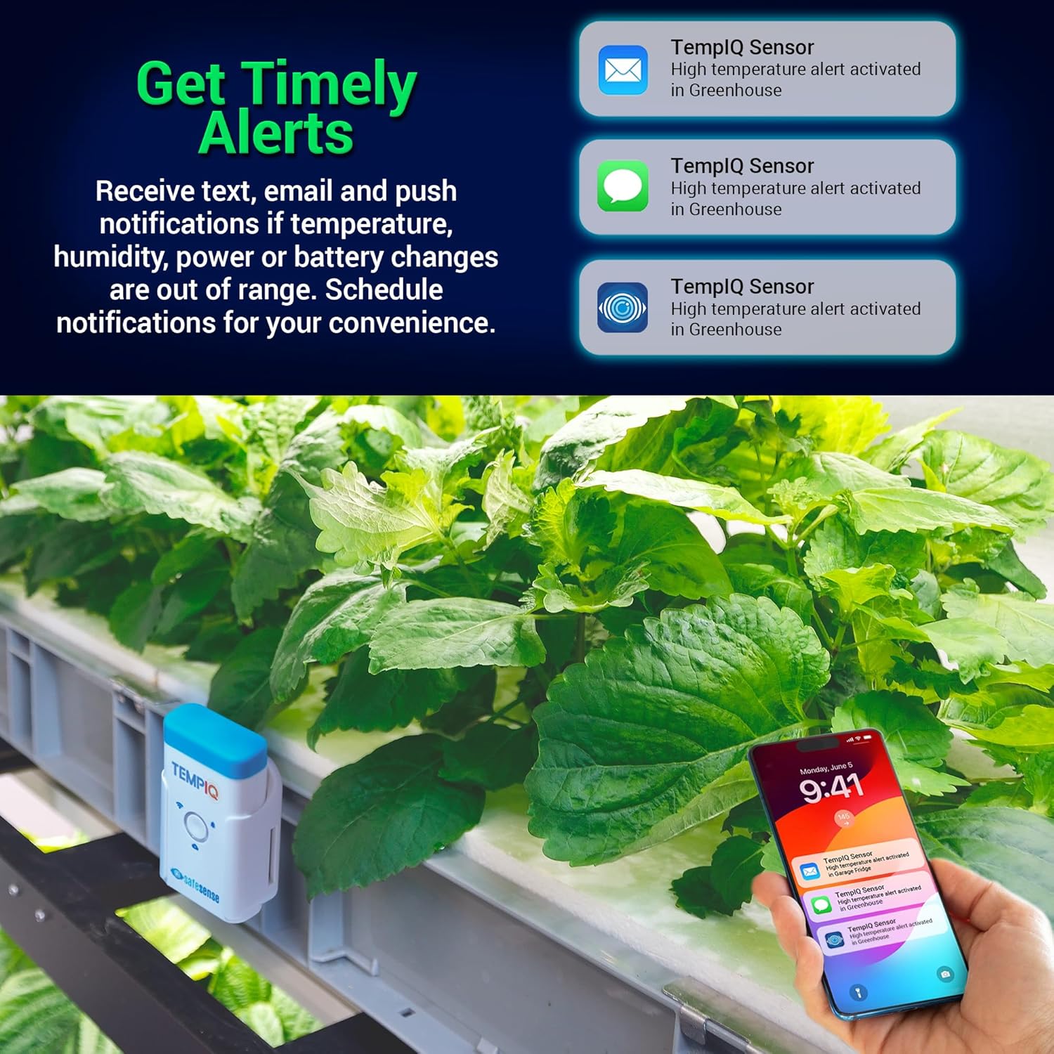 TEMPIQ WiFi 2-Pack Temperature & Humidity Sensor - App Integration, Alerts, Helps Monitor 2nd Home, AirBnb, RV, Pets,Freezer and Server Room, Remote Indoor & Outdoor Hygrometer & Thermometer