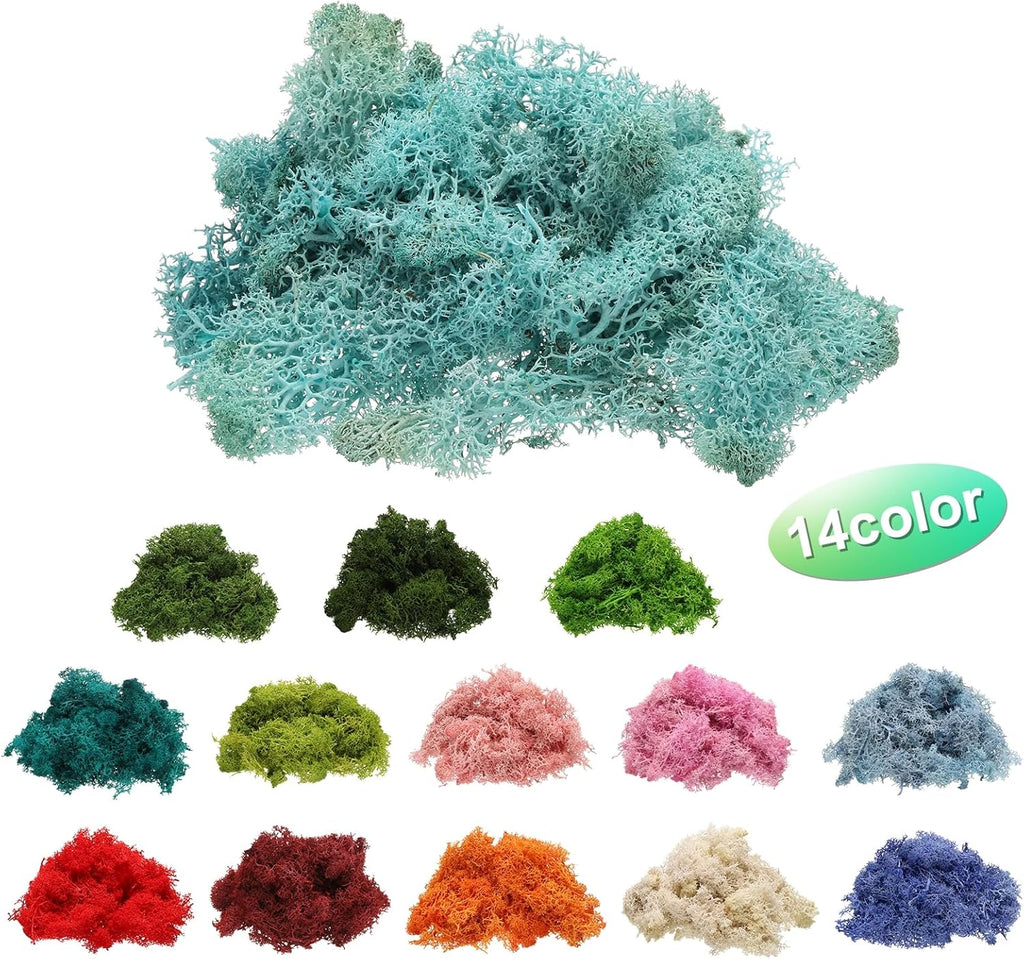 uxcell Preserved Reindeer Moss, 4 OZ Fake Moss for Crafts Artificial Dried Moss for Decoration, Craft, Terrariums, Potted Plants, Centerpieces Fairy Gardens (Blue)