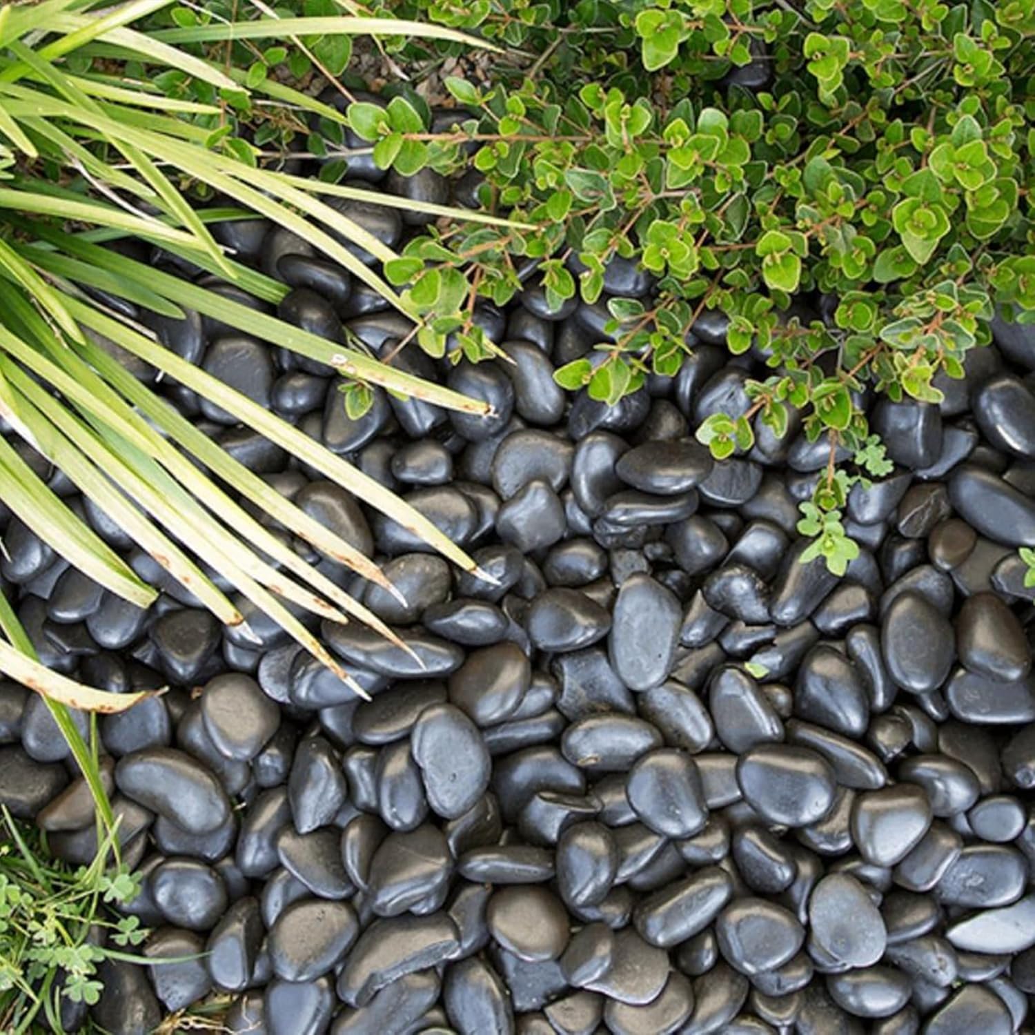 Large Pebbles for Landscaping 40lbs, 2-3 Inch Black River Rocks for Aquarium, High Polished Natural Decorative Stones for Vase Filler Fish Tank Gardening