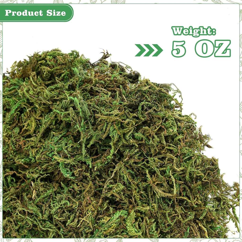 YUNVI 5 OZ Large Capacity Artificial Moss for Potted Plants,Natural Fake Moss Grass for Plants Indoor,Craft and Greenery Bulk for Hamsters(Fresh Green)