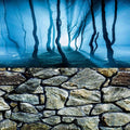 ELEBOX Fish Backgrounds Paper Double Sides 3D Stone & Trees Aquarium Background Picture 23" x 71" Fish Tank Background